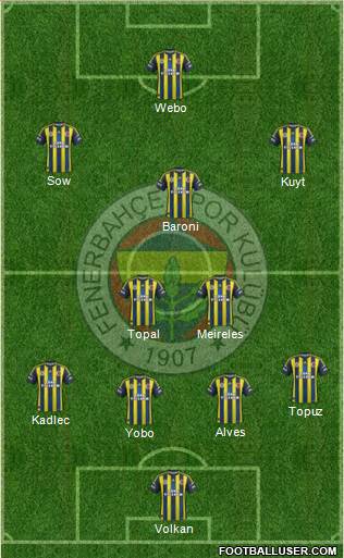Fenerbahçe SK Formation 2013