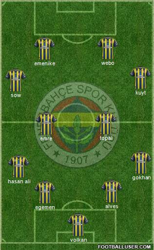 Fenerbahçe SK Formation 2013