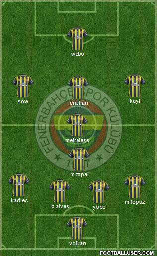 Fenerbahçe SK Formation 2013