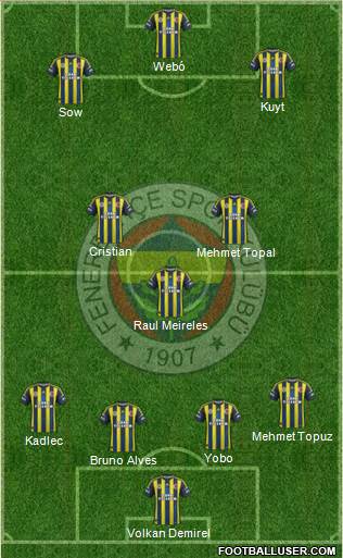 Fenerbahçe SK Formation 2013