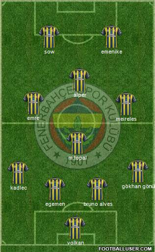 Fenerbahçe SK Formation 2013