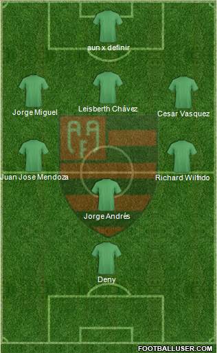 AA Flamengo Formation 2013