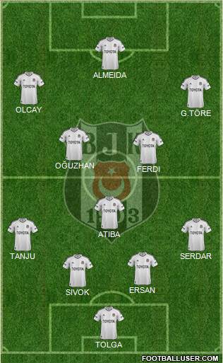 Besiktas JK Formation 2013