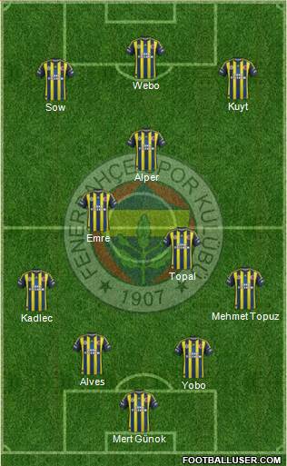 Fenerbahçe SK Formation 2013