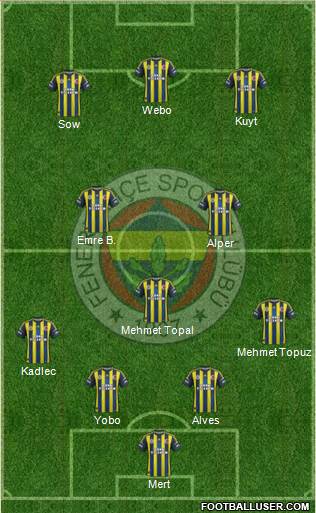 Fenerbahçe SK Formation 2013