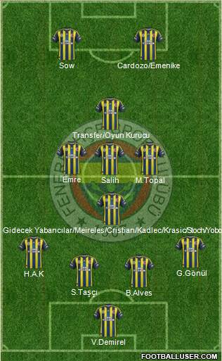 Fenerbahçe SK Formation 2013