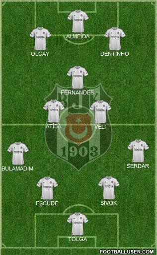 Besiktas JK Formation 2013