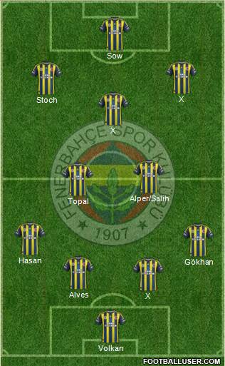 Fenerbahçe SK Formation 2013