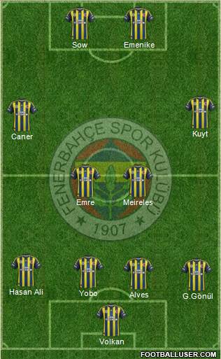 Fenerbahçe SK Formation 2013