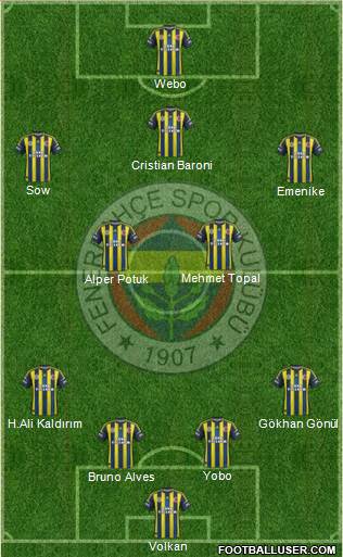 Fenerbahçe SK Formation 2013