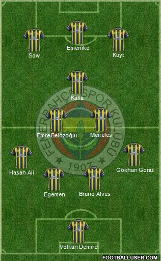 Fenerbahçe SK Formation 2013
