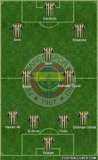 Fenerbahçe SK Formation 2013