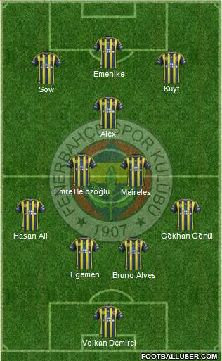 Fenerbahçe SK Formation 2013