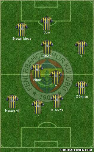 Fenerbahçe SK Formation 2013