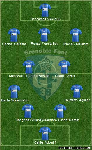 Grenoble Foot 38 Formation 2013