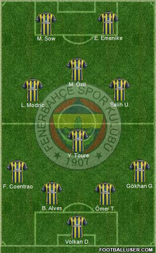 Fenerbahçe SK Formation 2013