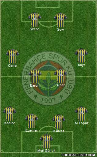 Fenerbahçe SK Formation 2013