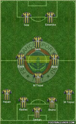 Fenerbahçe SK Formation 2013