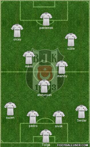 Besiktas JK Formation 2013