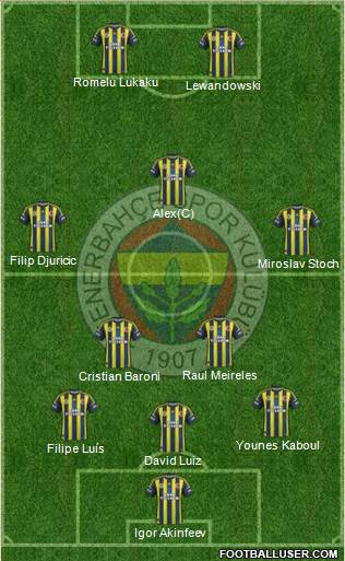 Fenerbahçe SK Formation 2013