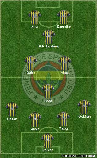 Fenerbahçe SK Formation 2013