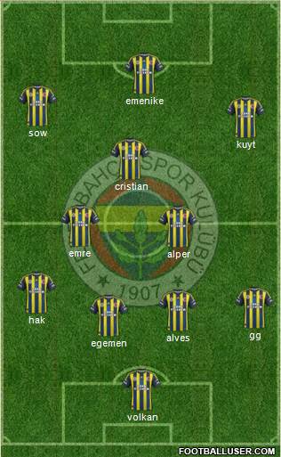 Fenerbahçe SK Formation 2013