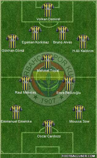 Fenerbahçe SK Formation 2013