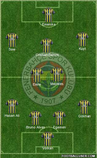 Fenerbahçe SK Formation 2013