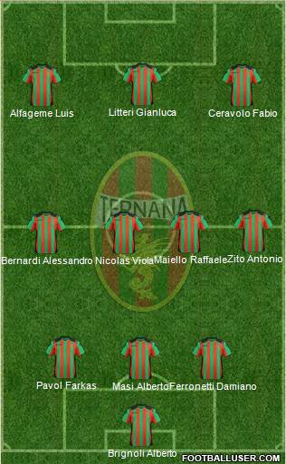 Ternana Formation 2013