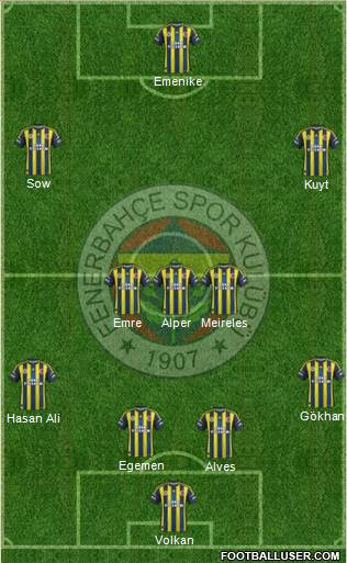 Fenerbahçe SK Formation 2013