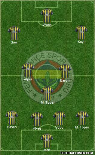 Fenerbahçe SK Formation 2013