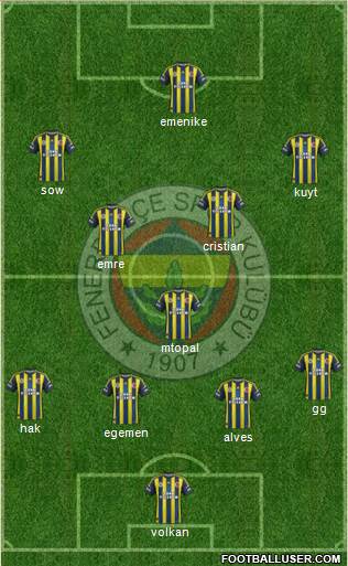 Fenerbahçe SK Formation 2013
