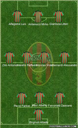 Ternana Formation 2013