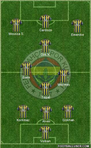 Fenerbahçe SK Formation 2013