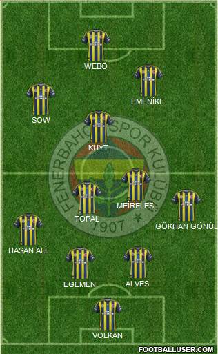 Fenerbahçe SK Formation 2013