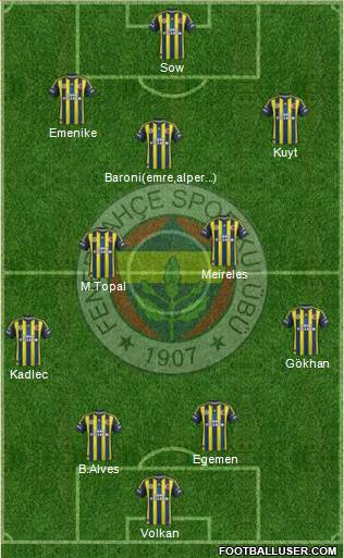 Fenerbahçe SK Formation 2013