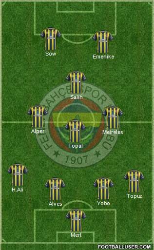 Fenerbahçe SK Formation 2013