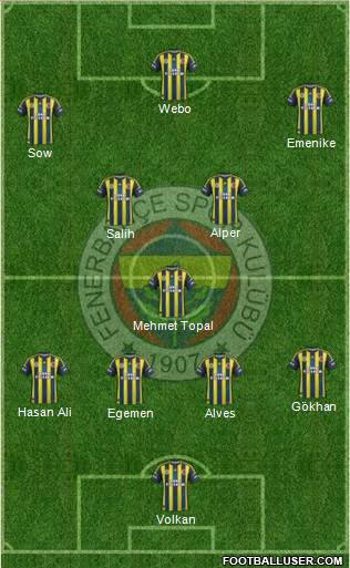 Fenerbahçe SK Formation 2013