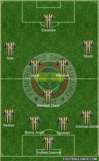 Fenerbahçe SK Formation 2013