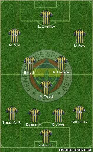 Fenerbahçe SK Formation 2013