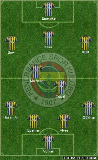 Fenerbahçe SK Formation 2013