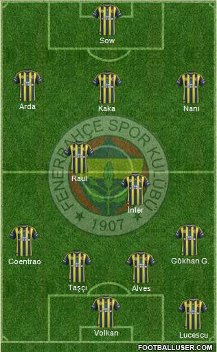 Fenerbahçe SK Formation 2013