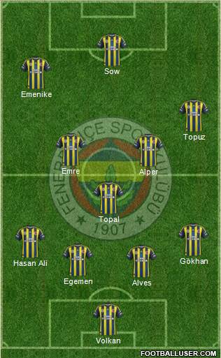 Fenerbahçe SK Formation 2013
