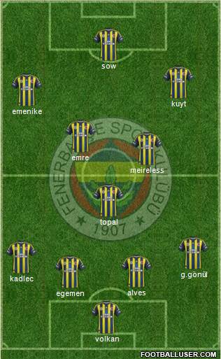 Fenerbahçe SK Formation 2013