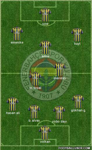 Fenerbahçe SK Formation 2013