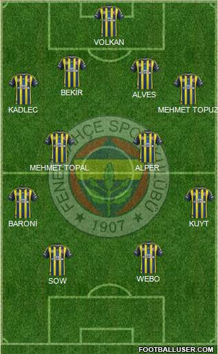 Fenerbahçe SK Formation 2013