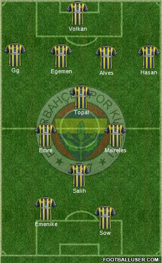 Fenerbahçe SK Formation 2013