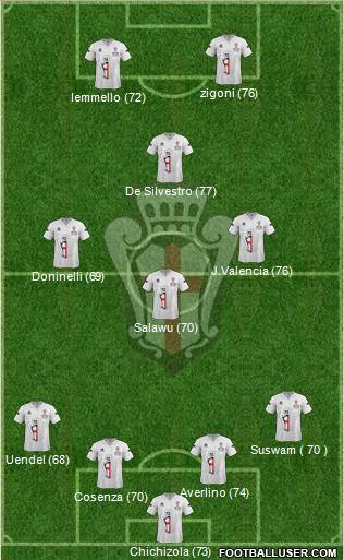 Pro Vercelli Formation 2013