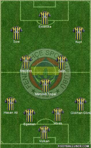 Fenerbahçe SK Formation 2013