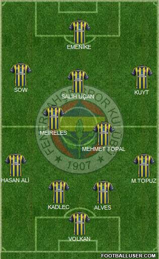 Fenerbahçe SK Formation 2013